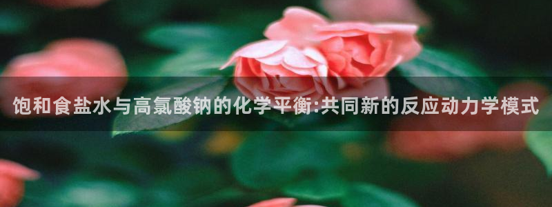 威九国际v18