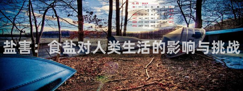78mapp威九国际官网版