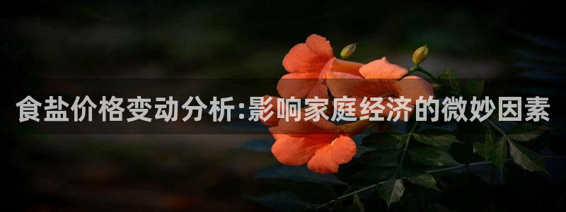威九国际特殊奖励