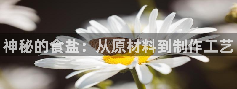 威九国际网站下载