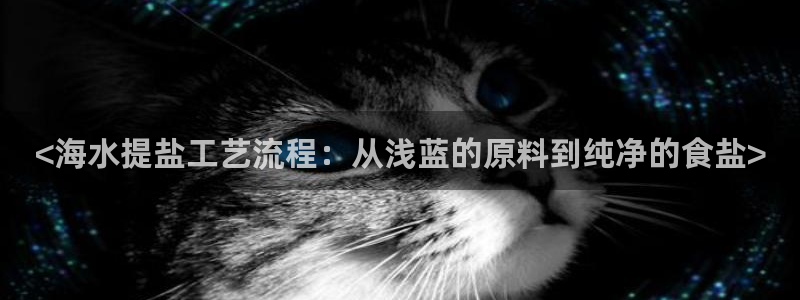 威九国际女明星