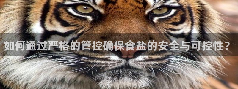 威九国际app下载