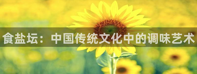 威九国际网站怎么样可靠吗