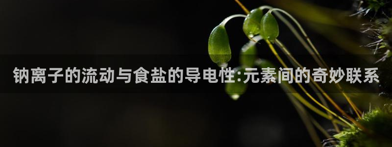 威九国际游戏app网址：钠离子的流动与食盐的导电性:元素间的